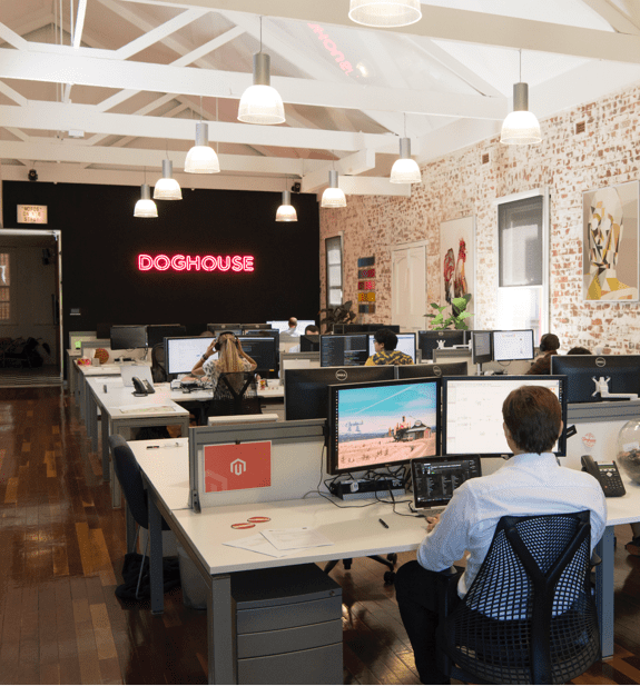 Doghouse govCMS