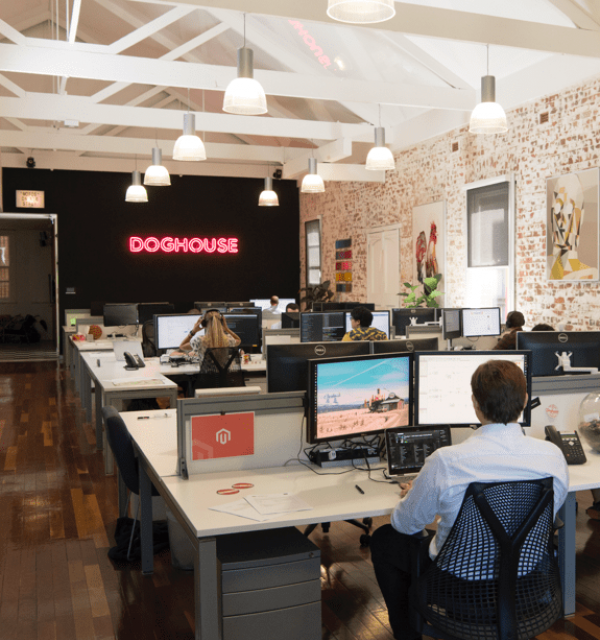 flag-govCMS-doghouse@1x.png Thumbnail