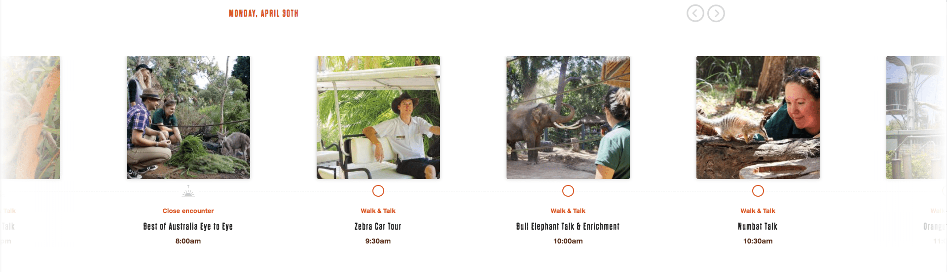 Perthzoo-04-events@1x.png Thumbnail